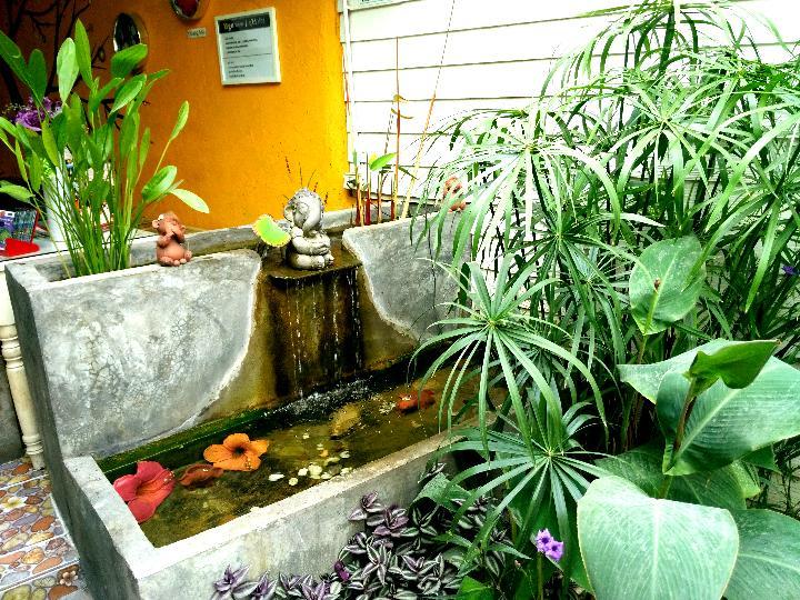 Yin Yang Guesthouse Чиангмай Экстерьер фото